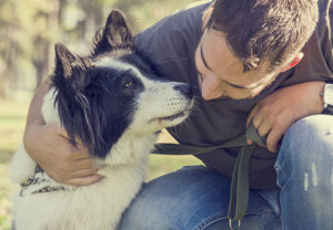 Benefits Of Pet Therapy Recovery