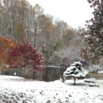 First Snow At ROR