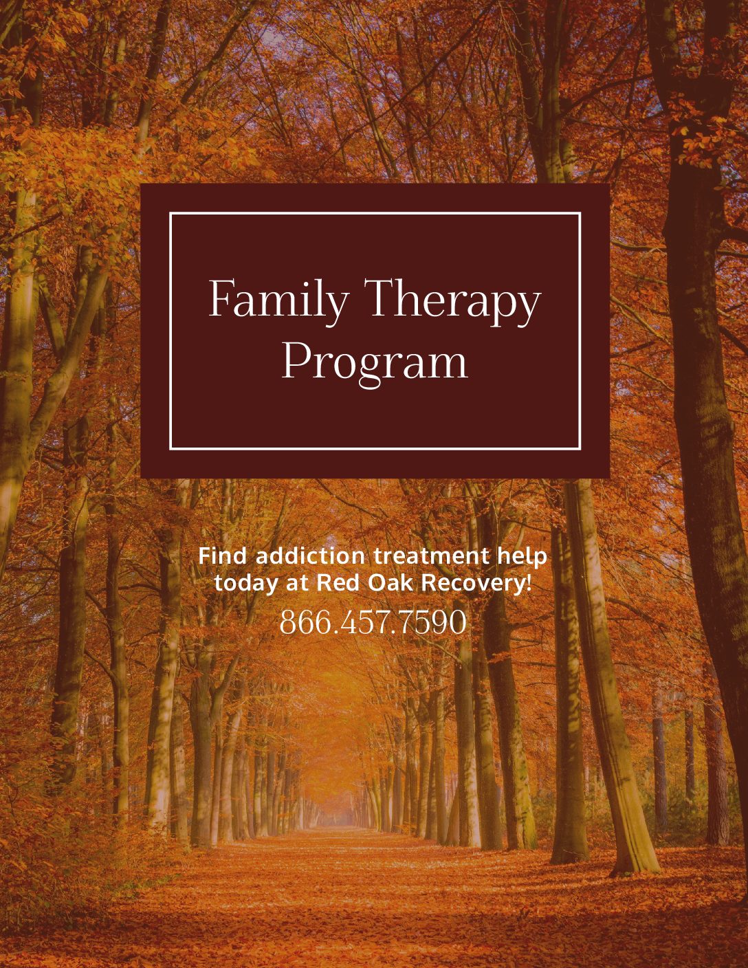 RedOak Family Therapy Program Pdf
