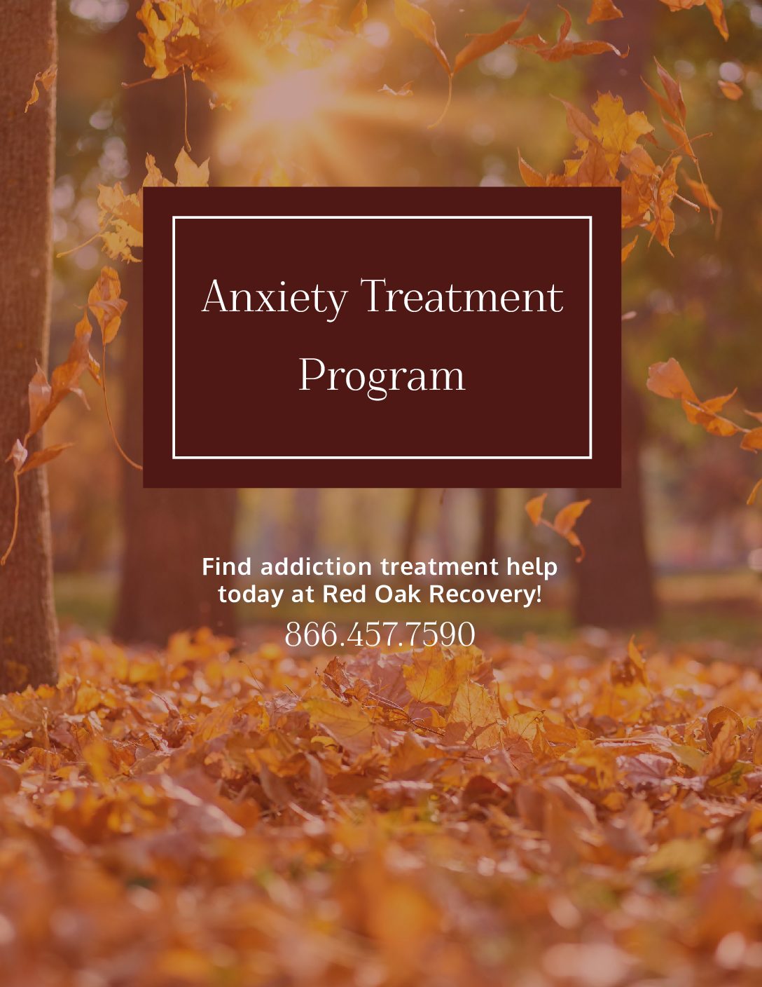 Red Oak Anxiety Treatment Program Pdf