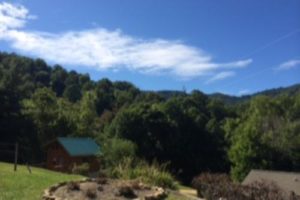 Addiction Treatment Enrollment