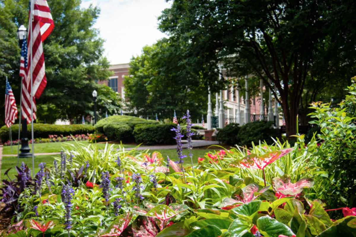 Holistic Healing Resources near Oak Ridge, NC