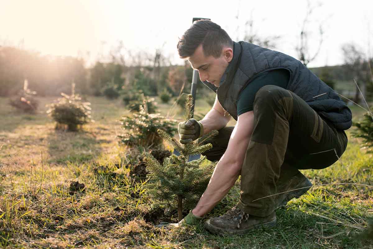 Horticultural Therapy for Addiction