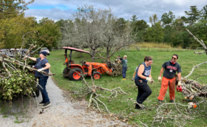 Willows Cleanup Crew