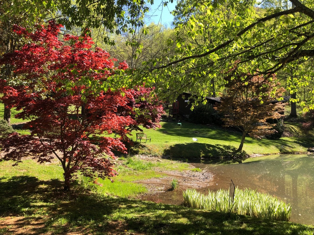 Red Oak Extended Care For Addiction